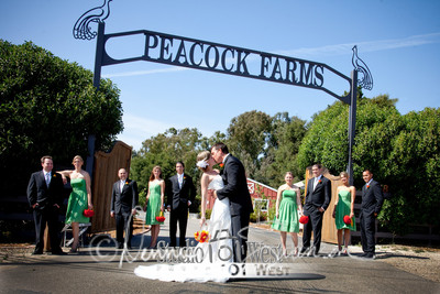 _MG_0288-Edit